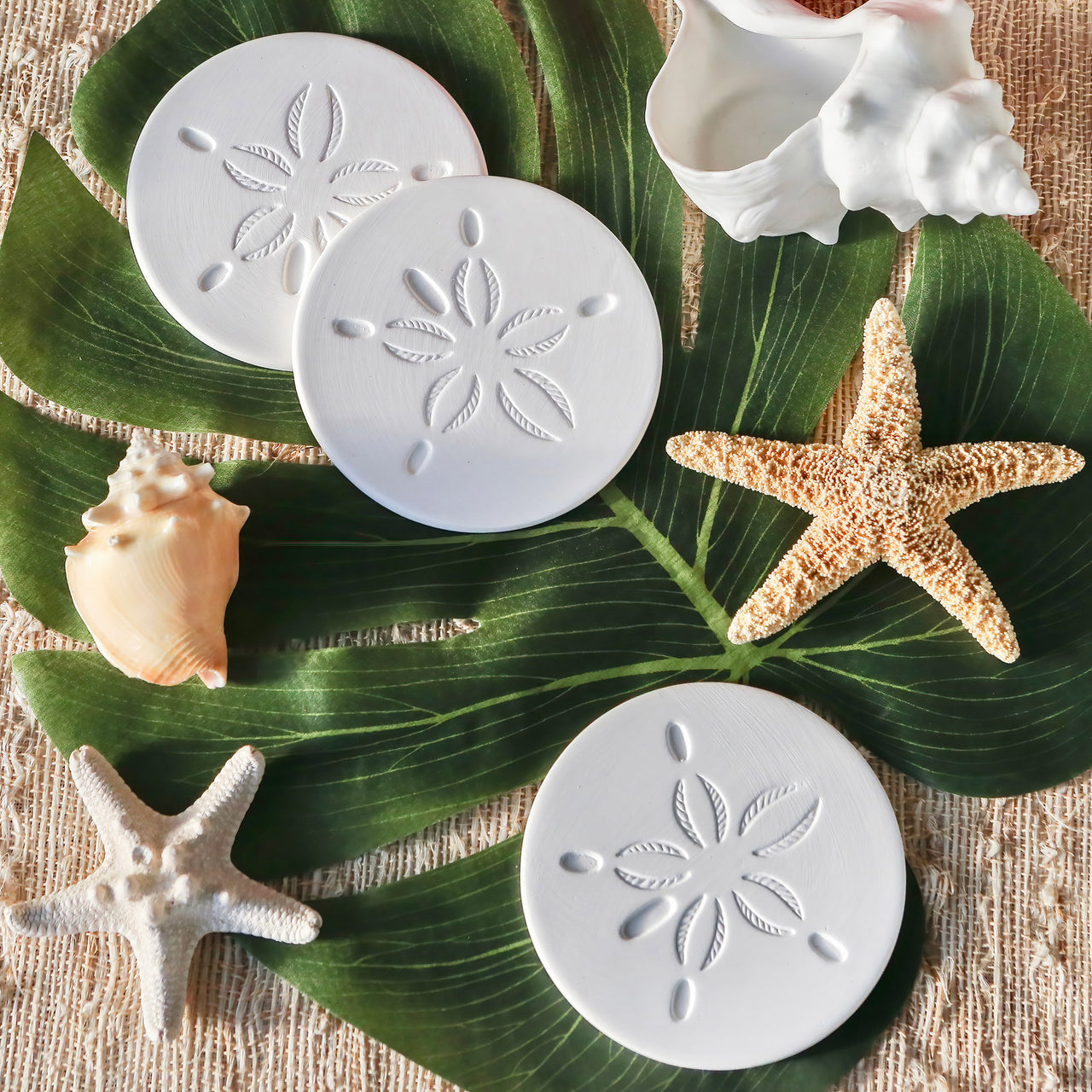 By the Shore Sand Dollar Drink Coaster Set of 4 - Alternate Image 2