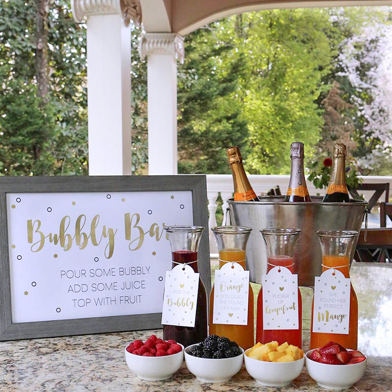 Mimosa Bar Party, Champagne Themed Party Supplies